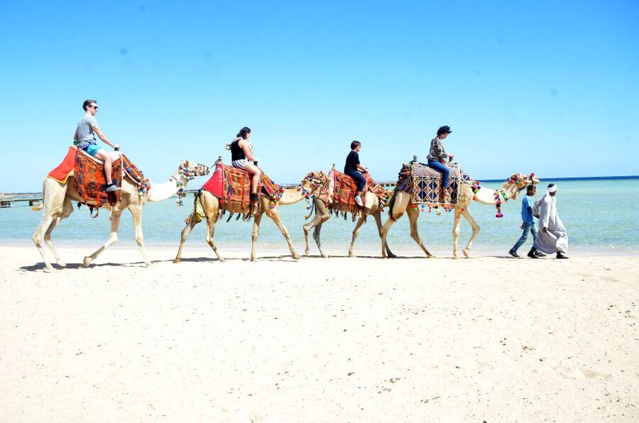 Hurghada: Sea & Desert Camel Ride w/Dinner, Show, Stargazing - Who should book this camel ride, and who should skip it