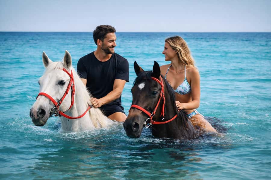 Hurghada: Sea & Desert Horse Riding tour/w Swimming&Transfer - Key Things I Think You Should Notice