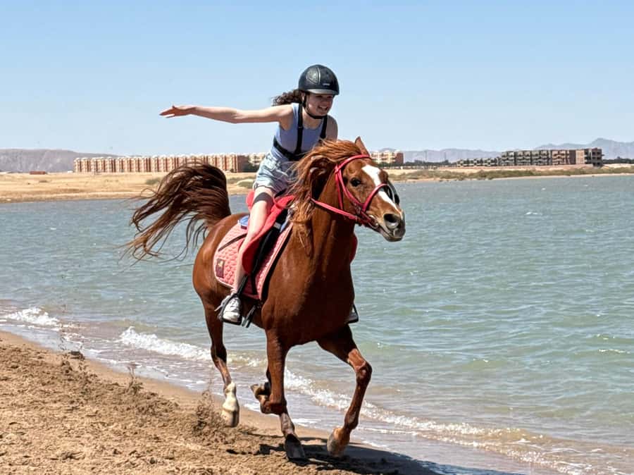 Hurghada: Sea & Desert Horse Riding tour/w Swimming&Transfer - Enter Lucky Horses Stable, from pickup to safety checks
