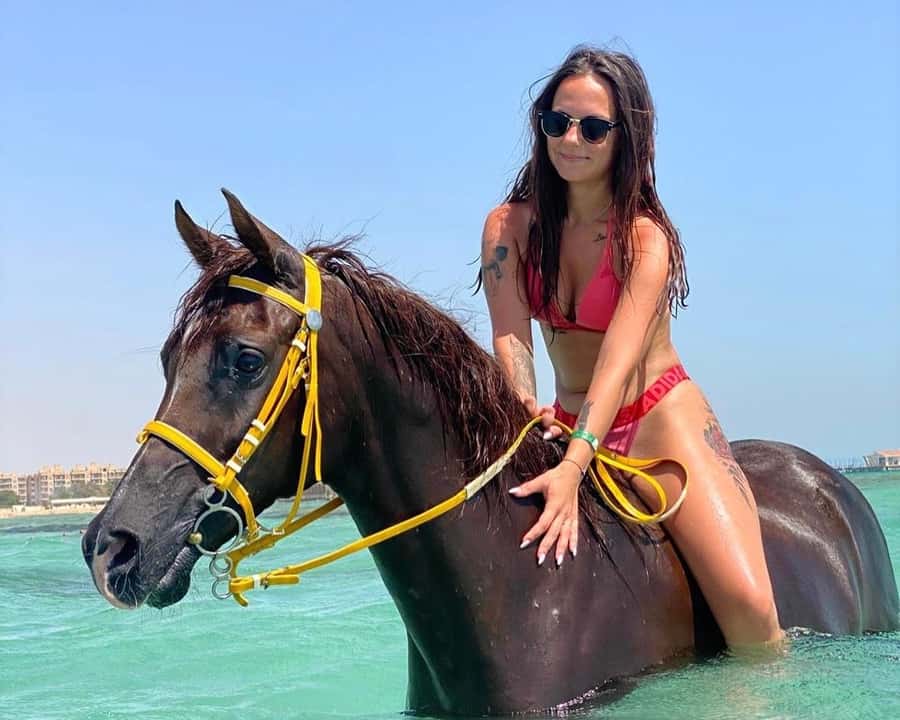 Hurghada: Sea & Desert Horse Riding tour/w Swimming&Transfer - The 2-hour swimming with horses option, and the seasonal cutoff