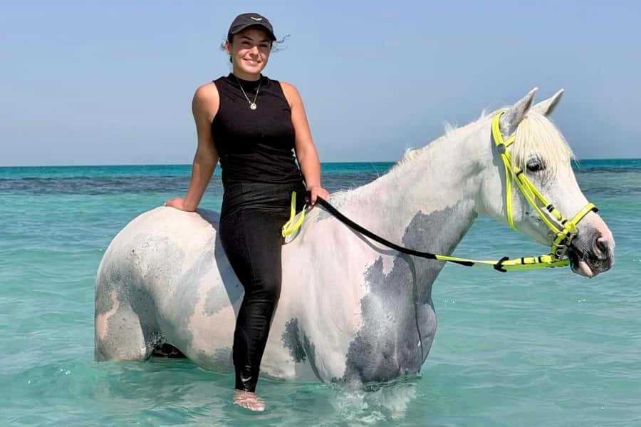 Hurghada: Sea & Desert Horse Riding tour/w Swimming&Transfer - Price at about $17, and what you get for the money