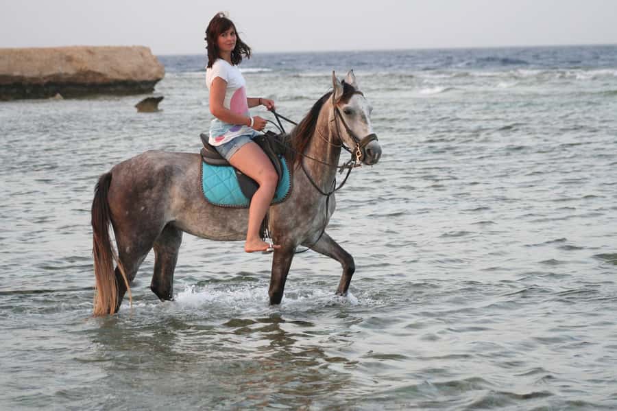 Hurghada: Sea & Desert Horse Tour, Stargazing, Dinner & Show - Key points that make this Hurghada horse tour work
