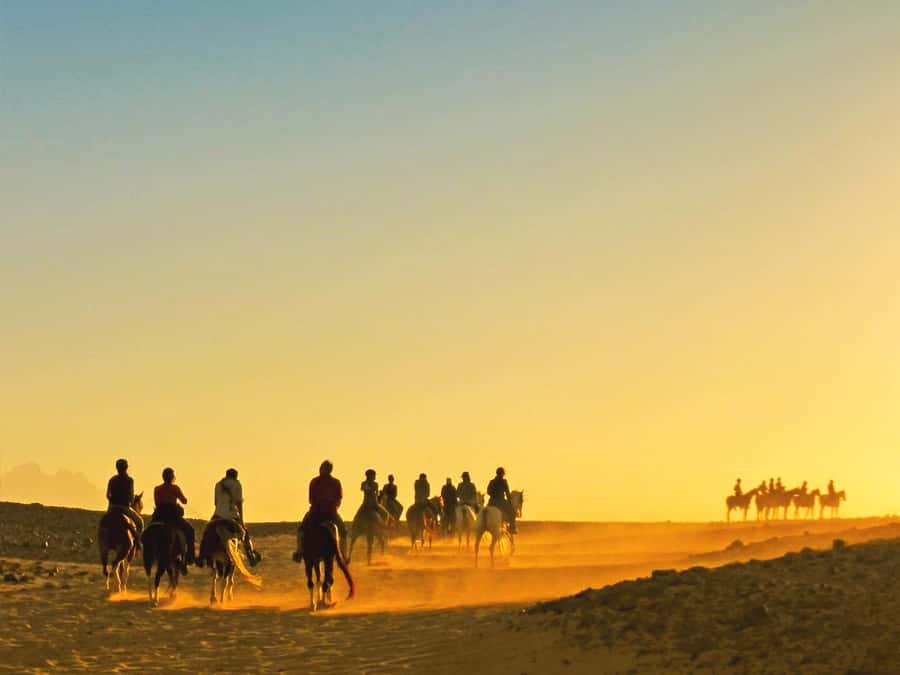 Hurghada: Sea & Desert Horse Tour, Stargazing, Dinner & Show - Before you mount: safety briefing, helmets, and level-based horses