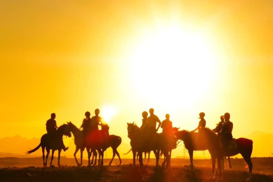Hurghada: Sea & Desert Horse Tour, Stargazing, Dinner & Show - The ride itself: pace, photo stops, canters, and the sea moment