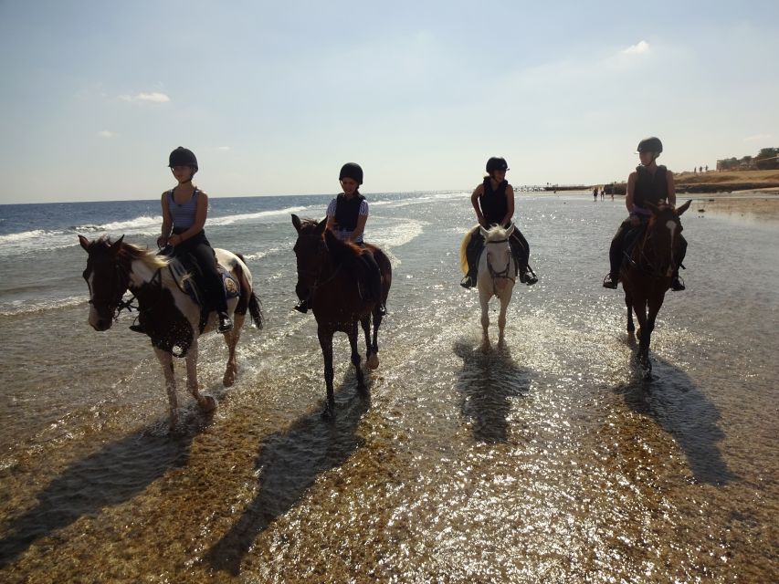 Hurghada: Sea & Desert Horse Tour, Stargazing, Dinner & Show - Sunset dinner, dance show, flame moments, and stargazing with telescopes