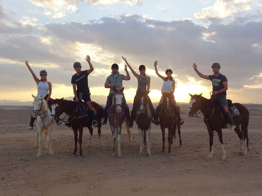 Hurghada: Sea & Desert Horse Tour, Stargazing, Dinner & Show - Choosing the right option: sunrise, sunset, swim, or quad combo