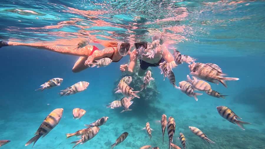 Hurghada: Snorkelling Trip by Speedboat with Hotel Pickup - Speedboat surprises: dolphins, a shipwreck, and a sandbar break