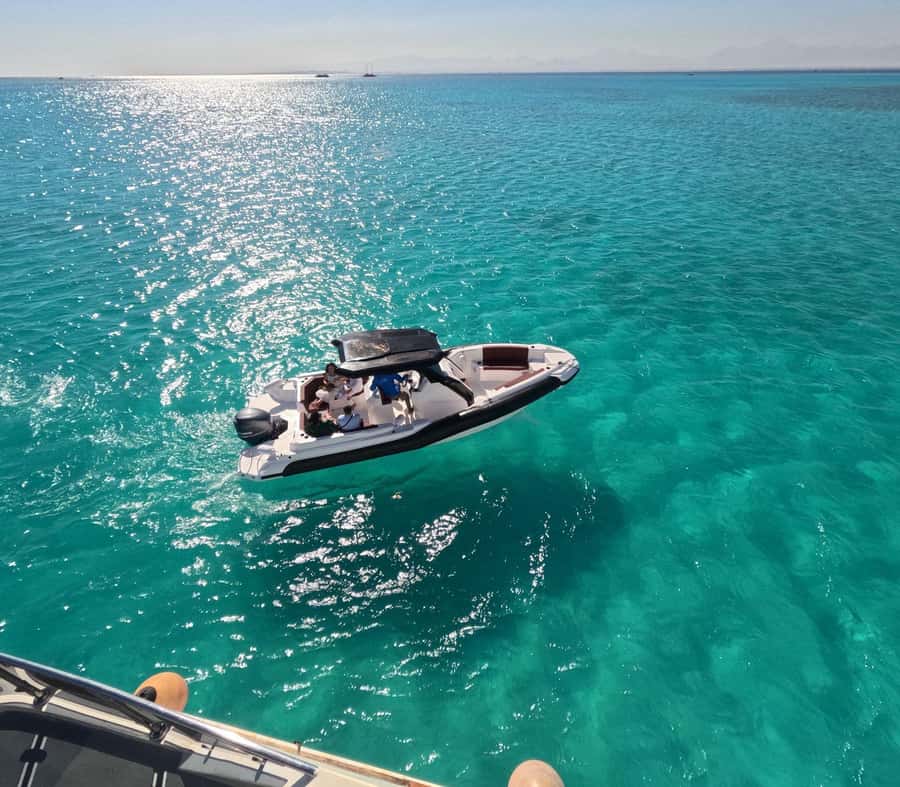 Hurghada: Speedboat Dolphin Watching & Snorkeling with Lunch - Key moments that make this tour worth your time