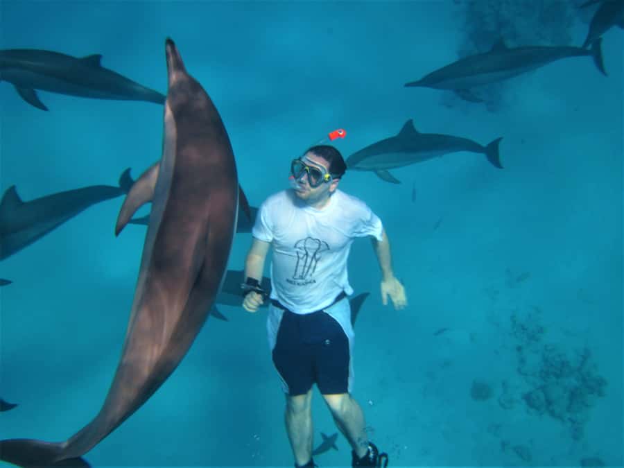 Hurghada: Speedboat Dolphin Watching & Snorkeling with Lunch - Dolphin etiquette and safety: how you get the moment without wrecking it
