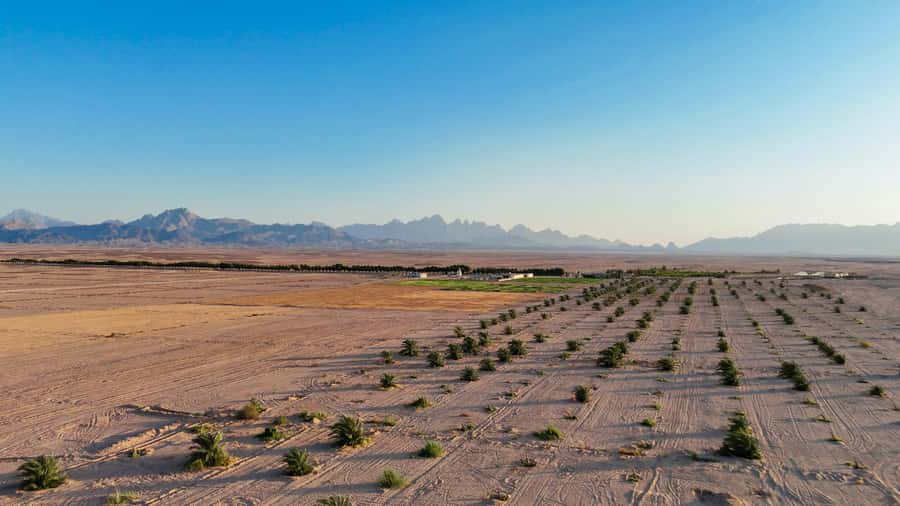 Hurghada: Star Stargazing Desert Adventure by Jeep & Dinner - Stargazing with a telescope: planets, constellations, and horoscope talk