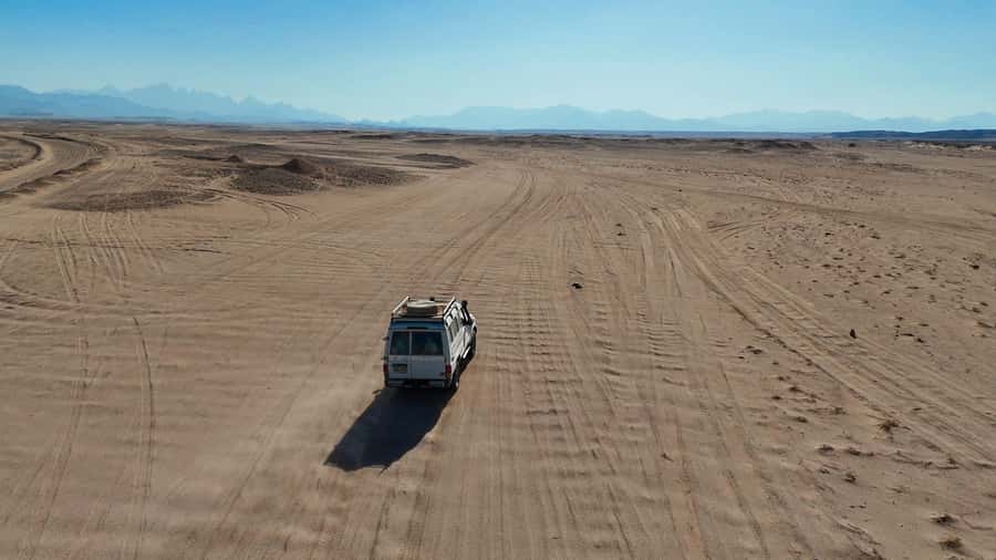 Hurghada: Star Stargazing Desert Adventure by Jeep & Dinner - Oasis farm tour: tea, dates, animals, and real local rhythm