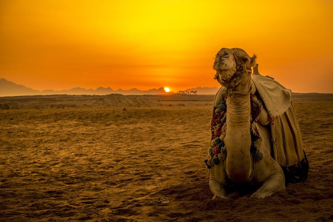 Hurghada: Star Watching Desert Adventure by Jeep with Dinner - Key Highlights