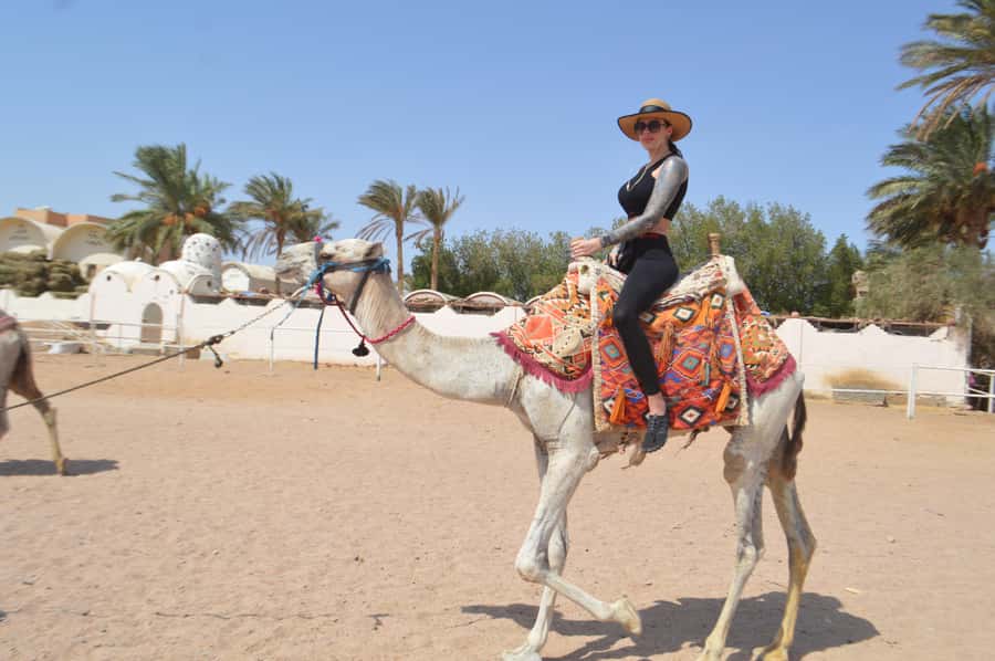 Hurghada: Sunrise Quad Bike, Camel and Oriental Breakfast - How Long It Takes, Your Riding Options, and Who Should Skip It