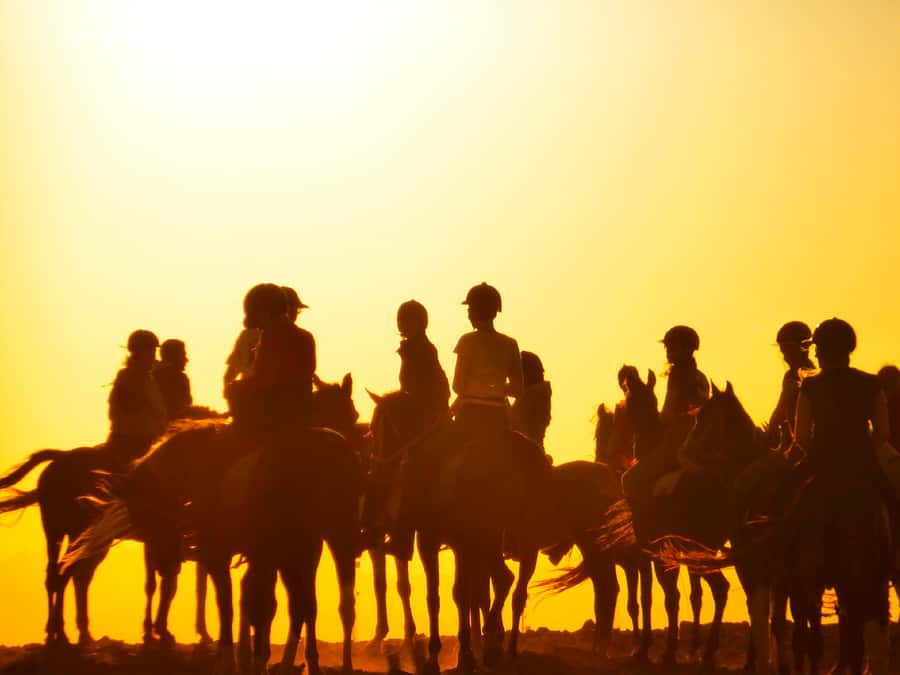 Hurghada: Sunset Sea, Desert Horse W Opt, Dinner, Stargazing - Price and Value: Is $29 Actually Fair for What You Get?