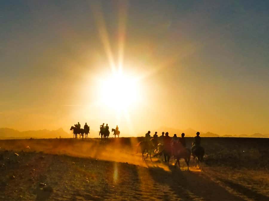 Hurghada: Sunset Sea, Desert Horse W Opt, Dinner, Stargazing - Why the Sunset Sea Plus Horse Ride Combo Works in Hurghada