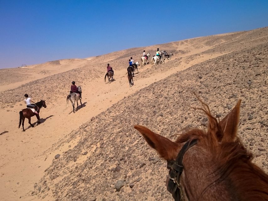 Hurghada: Sunset Sea, Desert Horse W Opt, Dinner, Stargazing - The 2-Hour Horse Ride: What You Actually Do on Desert and Sea Trails