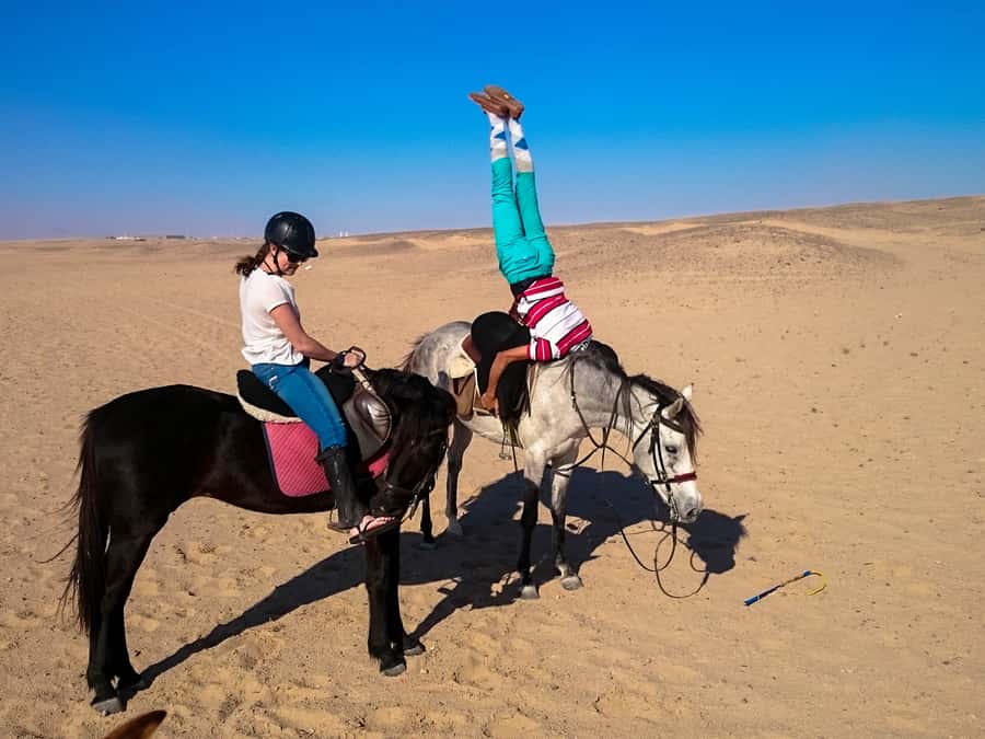 Hurghada: Sunset Sea, Desert Horse W Opt, Dinner, Stargazing - Dinner and Show: Making It an Evening Plan, Not a Standalone Activity