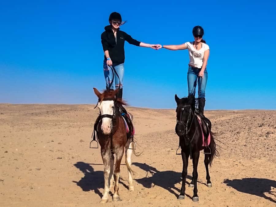 Hurghada: Sunset Sea, Desert Horse W Opt, Dinner, Stargazing - Stargazing: When the Desert Day Turns Into a Sky Lesson