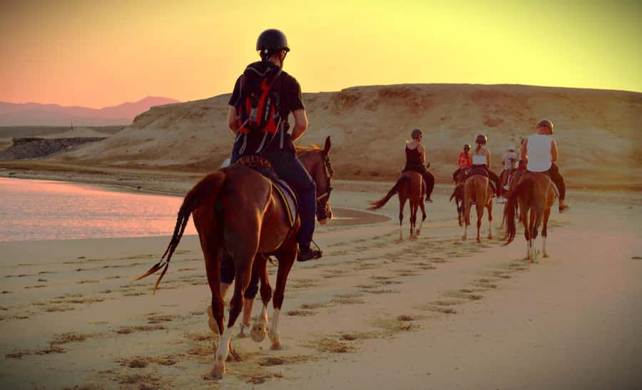 Hurghada: Sunset Sea, Desert Horse W Opt, Dinner, Stargazing - Private Tour Option: When Comfort Costs Extra, and When It’s Worth It