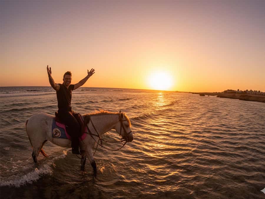 Hurghada: Sunset Sea, Desert Horse W Opt, Dinner, Stargazing - Choosing Your Best Time Slot: Sunset, Sunrise, Dinner, or Stargazing