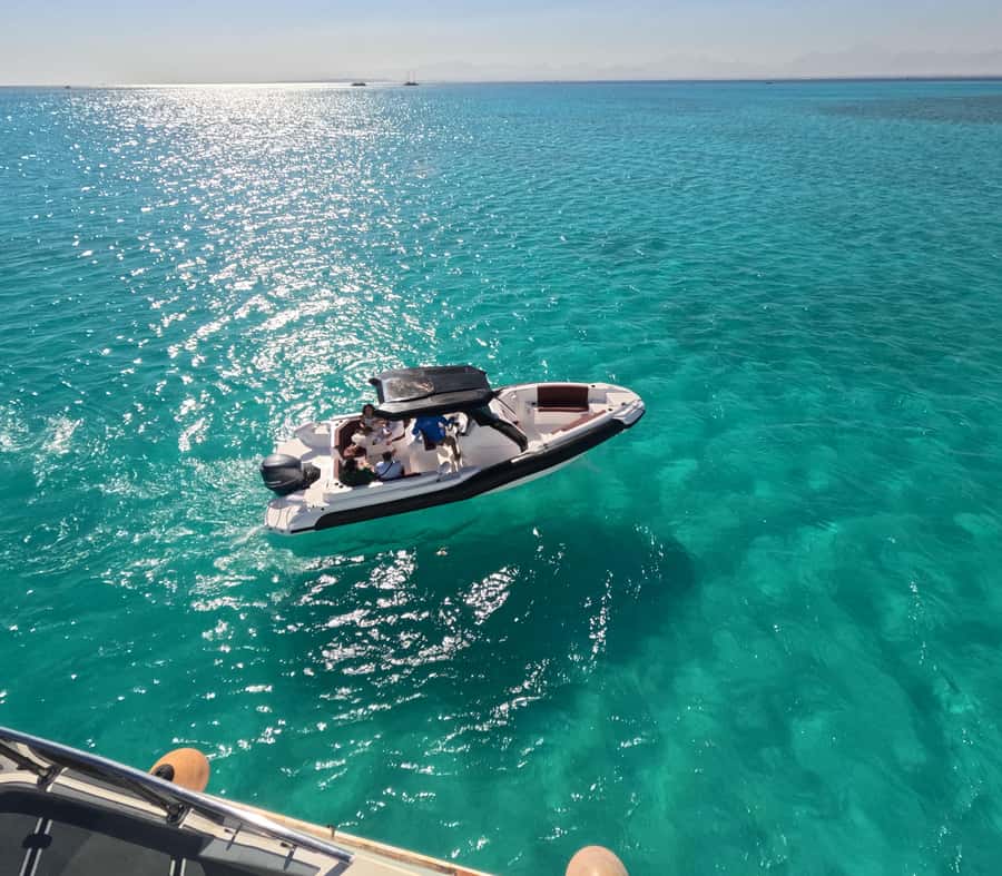 Hurghada: Turtle Bay Speedboat Tour with Snorkeling - The turtle odds at Turtle Bay, and how to manage expectations