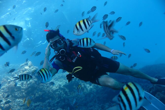 Intro Diving 2 Stops For Beginners with Pick-up and Lunch - Hurghada - The boat routine, lunch, and why it is more important than you think