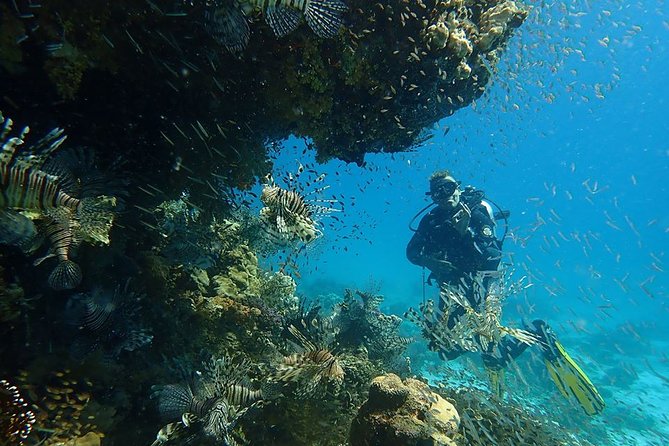 Intro Diving 2 Stops For Beginners with Pick-up and Lunch - Hurghada - Price and extras: what $40 covers, and what costs extra