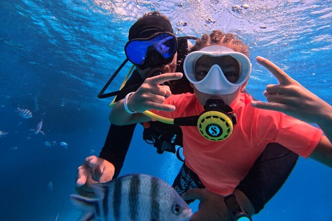 Intro Diving Beginner and Discover Red Sea Underwater - Key Highlights You’ll Feel on Day One