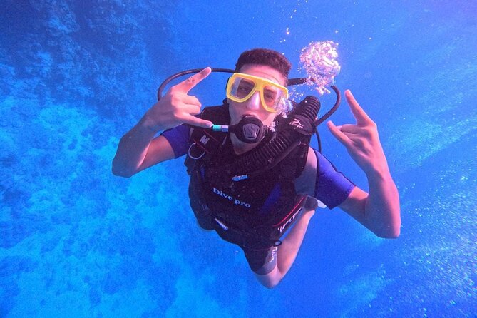 Intro Diving Beginner and Discover Red Sea Underwater - What You Actually Get for the $40 Price