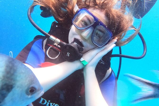 Intro Diving Beginner and Discover Red Sea Underwater - Pickup around Hurghada, Makadi Bay, and El Gouna