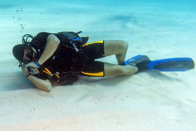 Intro Diving for Beginners 2 Stops Diving with Lunch - Hurghada - Hurghada pickup, the boat ride, and what the timing really means