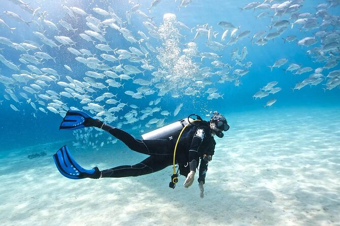 Intro Diving for Beginners 2 Stops Diving with Lunch - Hurghada - Should you book this intro scuba experience in Hurghada?