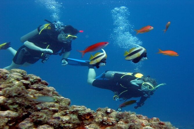 Intro Diving for Beginners 2 Stops Diving with Lunch - Hurghada - Lunch on board: why this matters more than you think