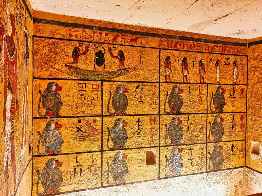 Luxor: All-Inclusive West Bank Tour, Sound & Light Show - Key moments that make this West Bank day work