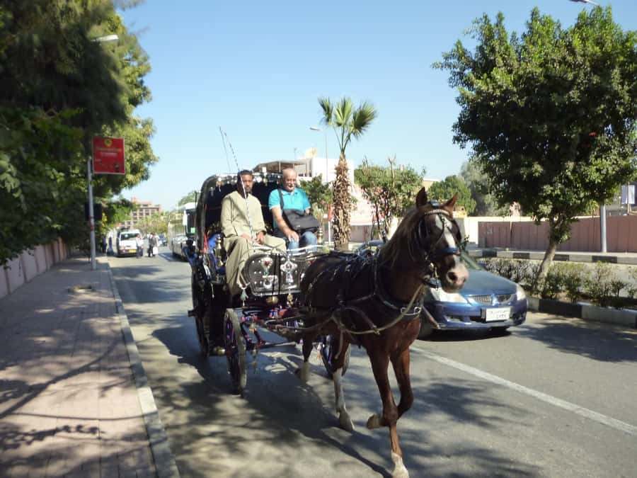 Luxor City Tour by Horse Carriage Visit Local - Key highlights worth your attention