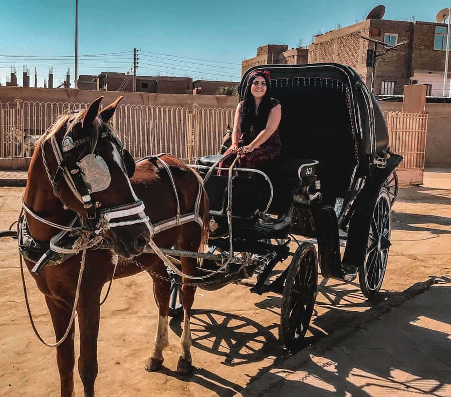 Luxor City Tour by Horse Carriage Visit Local - FAQ
