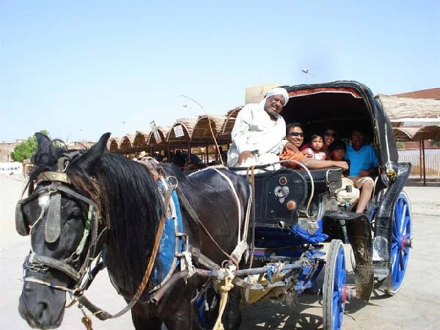 Luxor City Tour by Horse Carriage Visit Local - Why a horse carriage Luxor city tour works so well