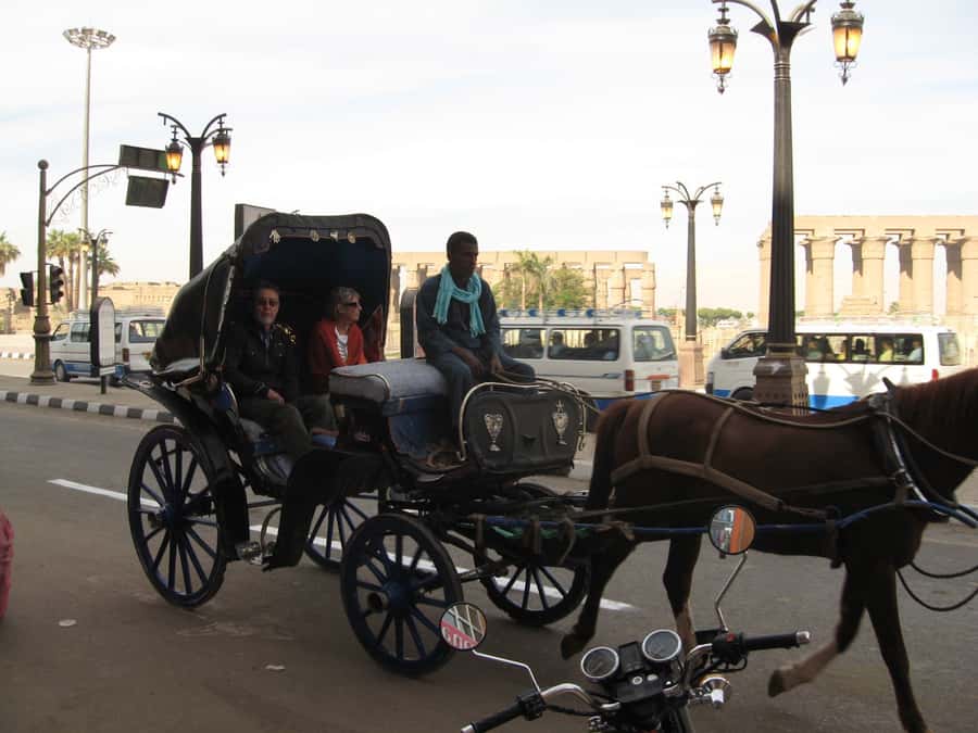 Luxor City Tour by Horse Carriage Visit Local - Abu Haggag Mosque: continuous worship you can feel in the setting
