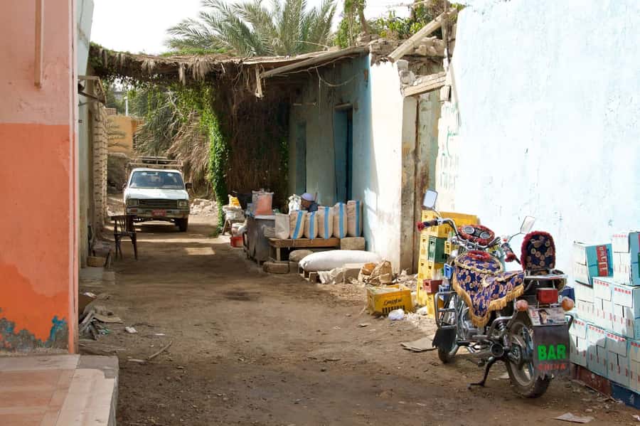 Luxor City Tour by Horse Carriage Visit Local - Luxor Temple with Ramses II: what to watch for beyond the postcard