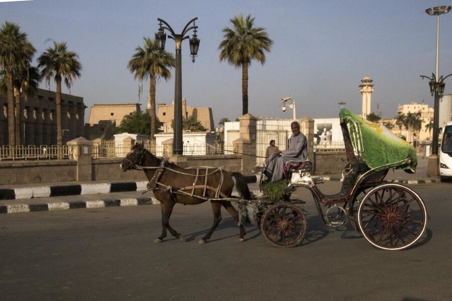 Luxor City Tour by Horse Carriage Visit Local - Price, timing, and practical tips for a smooth Luxor day