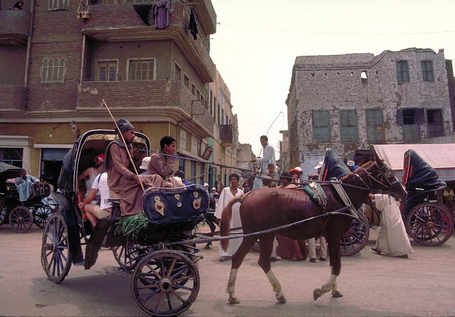 Luxor City Tour by Horse Carriage Visit Local - Should you book this Luxor horse carriage city tour or pass?
