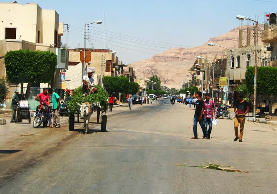 Luxor City Tour by Horse Carriage Visit Local - From hotel pickup to a historic village view on the way
