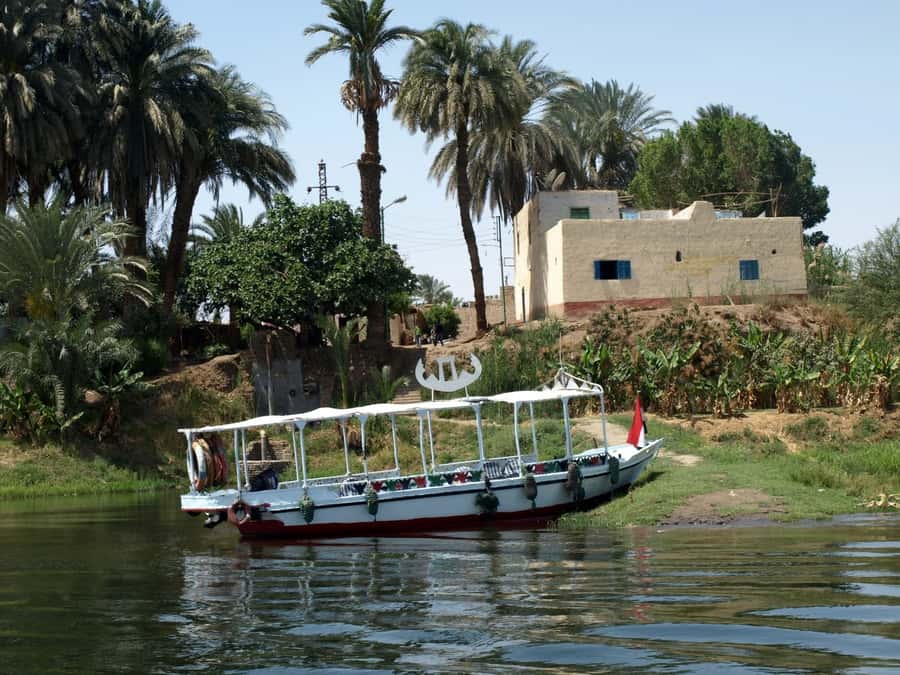 Luxor: Private Felucca Boat Trip with Hotel Pickup - The hot tea detail: small comfort, big difference