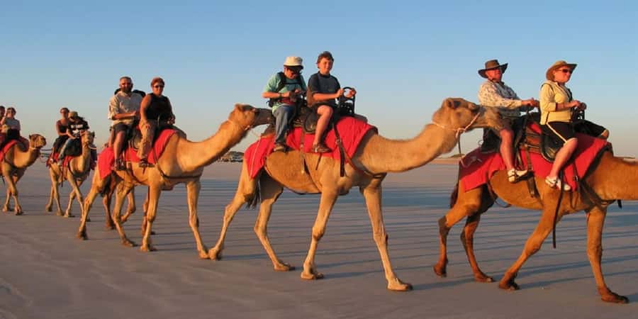 Luxor: Scenic Camel or Horse Ride - Rural Luxor on a Camel or Horse, and why it feels different