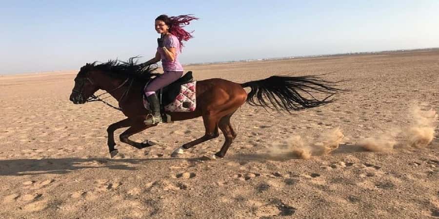 Luxor: Scenic Camel or Horse Ride - The countryside route: mango and banana groves, green pockets, and real-life sights