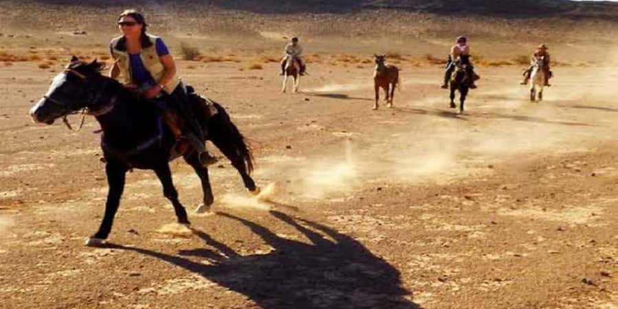 Luxor: Scenic Camel or Horse Ride - Animal care and trainer support: the part that drives the rating