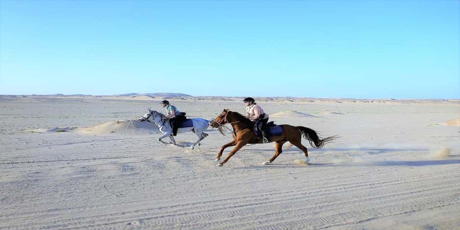 Luxor: Scenic Camel or Horse Ride - Price and value: is $15 per person fair for what you get?