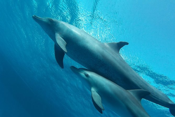 Luxury Cruise inc. Snorkeling/Massage/Island/water sport & Lunch - Hurghada Red Sea time, packed into one smooth plan