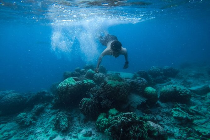 Luxury Cruise inc. Snorkeling/Massage/Island/water sport & Lunch - The 7:30 am schedule and how the day usually unfolds
