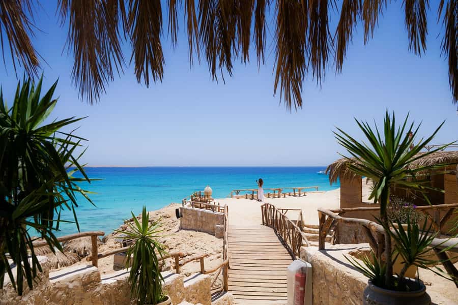 Mahmya Island: Red Sea Sailing Experience - Snorkeling the reef at midday: what’s included and what can vary